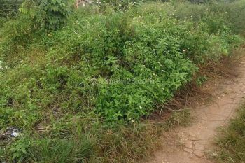 Lahan bagus di sekitaran pondok aren ceger