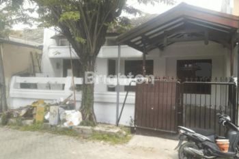RUMAH 1.5 LANTAI DI KLAMPIS SEMOLO LINGKUNGAN ASRI