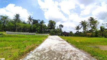 Tanah Dijual Jogja Barat, Selatan Rs Panti Rapih Kulonprogo