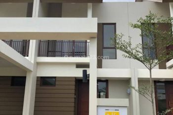 Orchard Park Cluster Durio