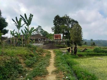 Dijual Lahan di Payangan Utara Ubud View Lembah, Hutan Dan Sawah