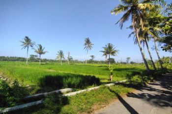 SHM Pekarangan, Kawasan Yia Jogja, Cocok Investasi Pun Huni