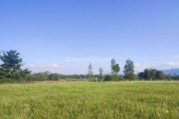 Kavling Exclusive di Kota Baru Parahyangan Cluster Subang Larang