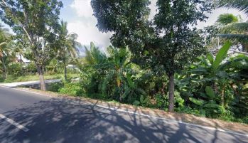 TANAH STRATEGIS MAINROAD LOVINA BULELENG COCOK GUDANG