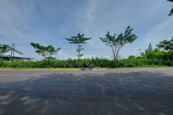 tanah tuban nol jalan propinsi cocok gudang pabrik