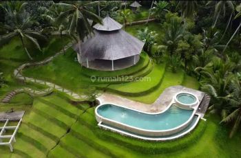 Murah Banget Resort di Penebel Tabanan Bali
