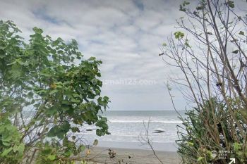 Tanah Beachfront Pasir Putih Dijual, di Jembrana