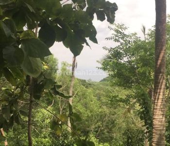 TANAH CLIFF HILL BEACH VIEW PULAU NUSA PENIDA BALI