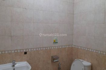 Disewakan Rumah 1 Lantai Bagus Dan Rapi di Sutera Feronia Alam Sutera