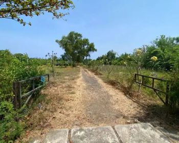 Tanah Los Pantai Termurah Link Villa Pantai Kerobokan Singaraja Bali