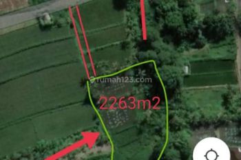 JUAL TANAH VIEW SAWAH MURAH COCOK INVESTASI DEKAT PANTAI