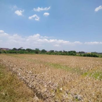 Sell Tanah: Dijual Sawah 2800m2