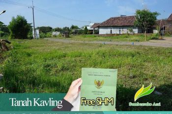 Kavling Sumbersuko Asri: Harmoni Alam dan View Pegunungan yang Menawan.