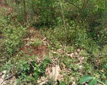 Dijual Tanah 10tumbak