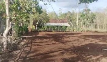 Dijual Tanah Pekarangan