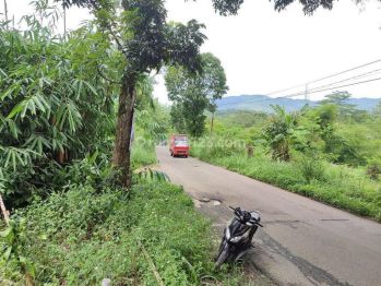 Tanah di jual bogor pabuaran citeureup shm
