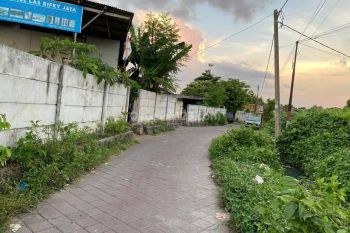 Disewakan Tanah Murah Di Uluwatu 10 Are Bisa Disewakan Tahunan Cocok Villa Rumah