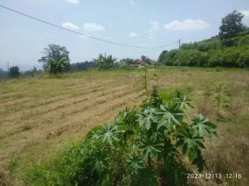 Jual Rumah dan Kebun Pinggir Jalan Desa
