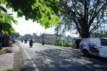 Tanah disewakan di Jalan Raya Dramaga Bogor