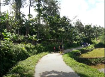 Sell Tanah: Jual Tanah Kebun