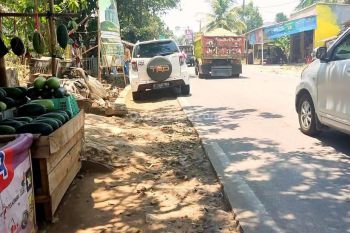 Tanah Dijual 2.419 m² SHM Strategis di Jl.ciruas Petir Serang