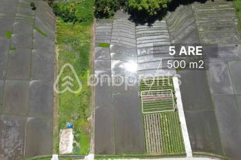 Freehold Bliss In Kedungu A Canvas For Timeless Tranquility