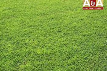 Disewakan Tanah Komersial Raya I've Citraland