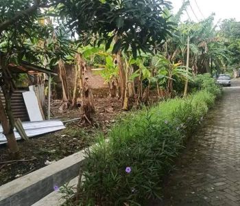 Tanah Sambiroto Dekat UNDIP