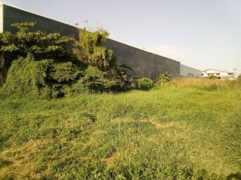 Tanah Komersial Akses Jembatan Suramadu , Murah