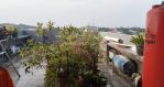 thumbnail-rumah-di-grand-sutera-tangerang-9