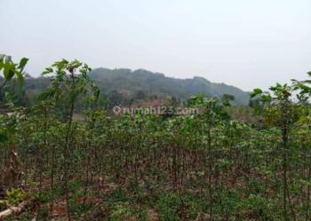 Dijual Lahan Siap Bangun di Desa Mangunjaya Sukabumi