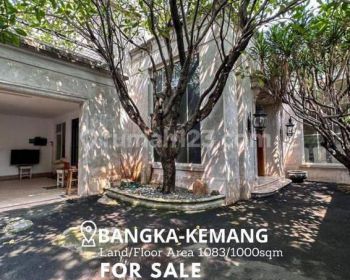 Rumah di Jalan Bangka
Kemang Jakarta Selatan  Luas 1000m2