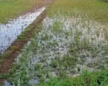 Jual sawah area Tegalgubug