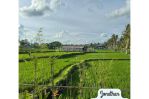 thumbnail-luxurious-villa-with-ricefield-view-kemenuh-ubud-11