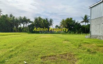 Tanah Murah Investasi Jogja, di Kawasan Kampus Umy