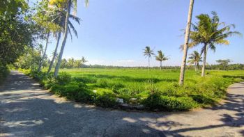 SHM P Dekat Bandara YIA Jogja, Cocock Hunian Area Strategis