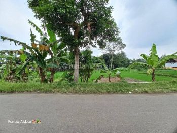 Dijual Tanah Murah SHMP mangku aspal Lokasi Potorono Banguntapan