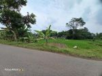 thumbnail-dijual-tanah-murah-shmp-mangku-aspal-lokasi-potorono-banguntapan-2