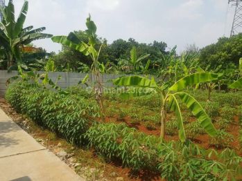 Dijual Tanah Luas 890m2 Kr Lebak, Bekasi