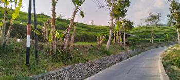 Dijual Tanah view bagus pinggir jalan di Tanjungsari Sumedang