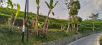 thumbnail-dijual-tanah-view-bagus-pinggir-jalan-di-tanjungsari-sumedang-2