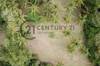 Tanah di Antosari Soka dekat Pantai Soka Tabanan Bali **