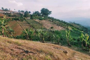 Tanah di Padasuka , Bandung SHM 3.244 m²