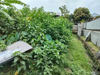 DIJUAL TANAH KOMERSIL SIAP BANGUN LOKASI PERERENAN BALI