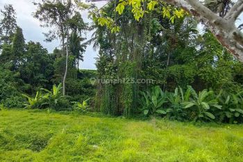 Di jual tanah ubud view sawah