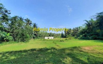 Pekarangan Dekat Rsud Nyi Ageng Serang, Kulon Progo