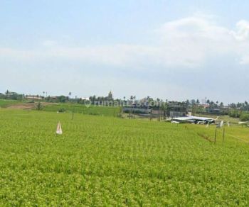 Jual Tanah 1.157 Dekat Pantai Lima Pererenan