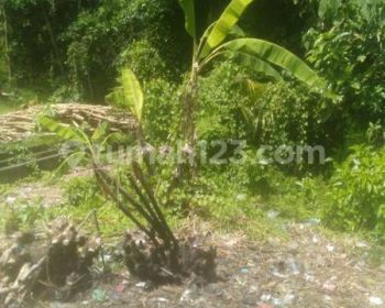 Hot List Di Jual Tanah Lokasi Kediri Buwit Tabanan