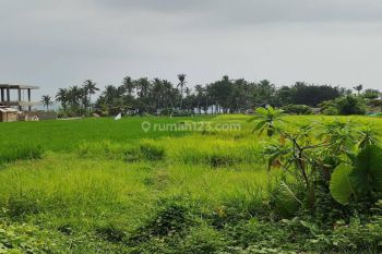 Premium And Best Land For Lease In Seseh Beach. Minimum 15 Are