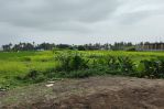 thumbnail-premium-and-best-land-for-lease-in-seseh-beach-minimum-15-are-5